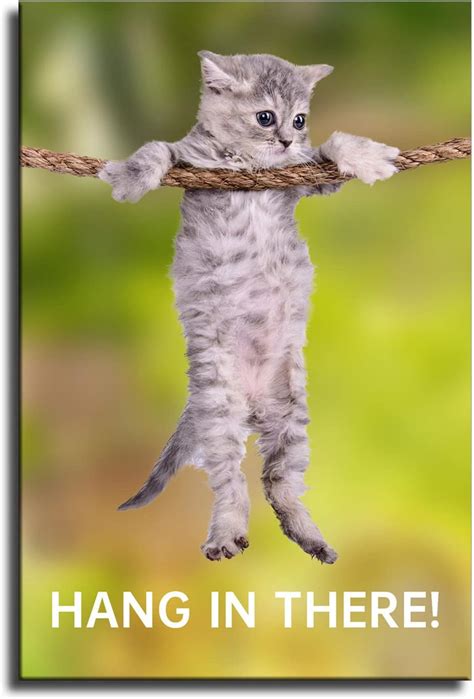 cat poster hang in there|just hang in there cat.